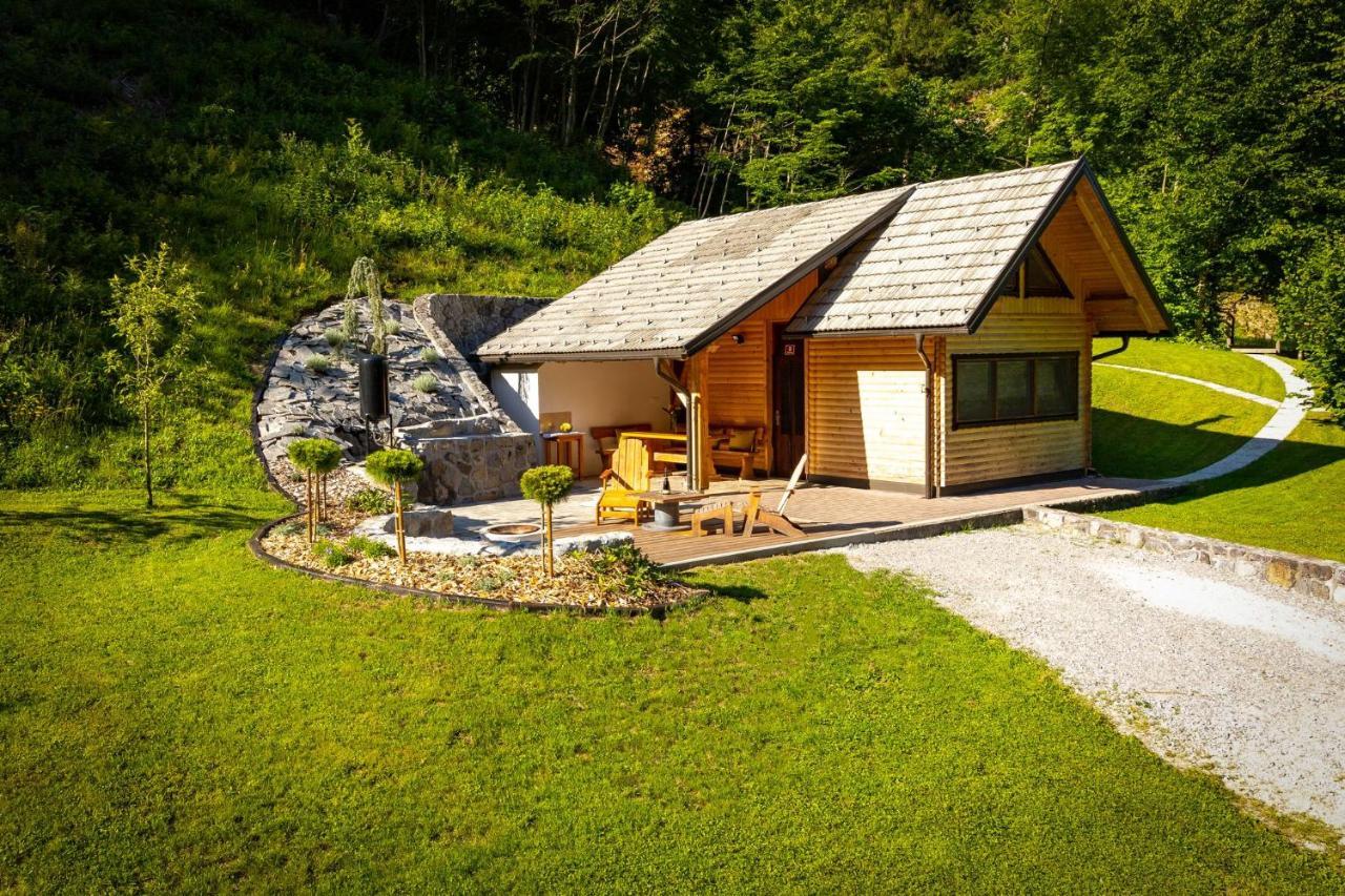 Chalet Letnik Ziri Exterior photo